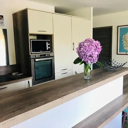Climatisée Commerces Et D'agosta à Pied Villa Albitreccia